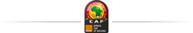 تغطية حصرية لكأس أمم إفريقيا 2013 can - كأس الامم الافريقية 2013 تغطية حصرية