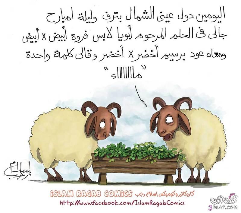 كاريكاتير عيد الاضحى 2014 صور كاريكاتير خروف العيد مضحكه 2014