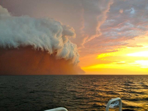 صور مذهلة لرياح رملية قوية تشبه تسونامي في استراليا