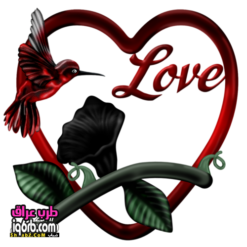 رمزيات بلاك بيري لعيد الحب 2013 - رمزيات ايفون لعيد الحب 2013
