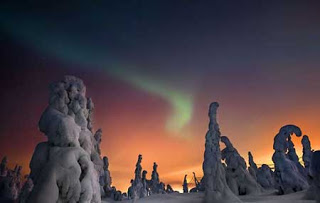 غابات من تماثيل الجليد في القطب الشمالي - بالصور غابات من تماثيل الجليد في القطب الشمالي