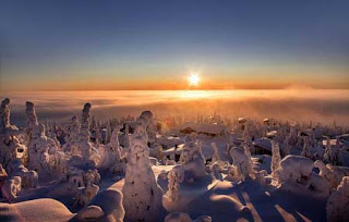 غابات من تماثيل الجليد في القطب الشمالي - بالصور غابات من تماثيل الجليد في القطب الشمالي
