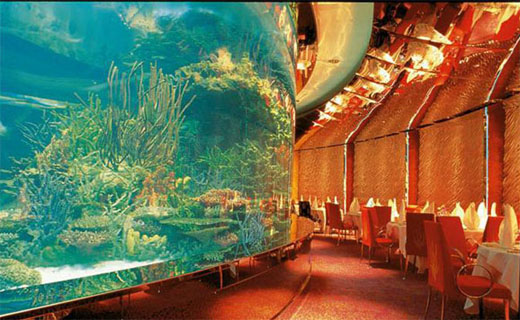 صور اكبر حوض سمك بالعالم في دبي