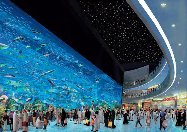 صور اكبر حوض سمك بالعالم في دبي