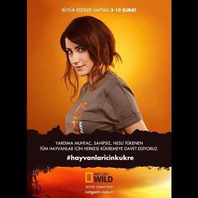 صور فريحة مع الاسد , صور الممثلة التركية هازال كايامع الاسد