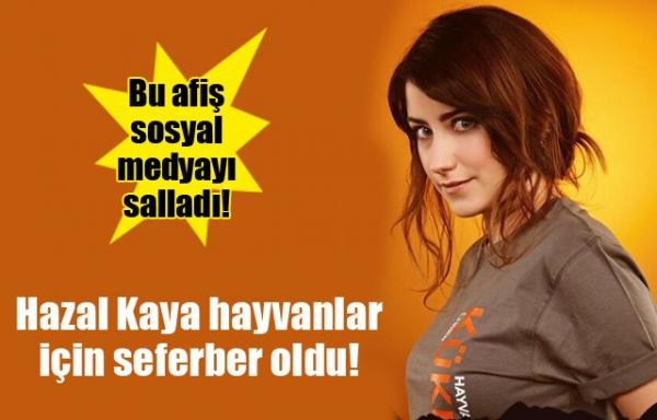 صور فريحة مع الاسد , صور الممثلة التركية هازال كايامع الاسد