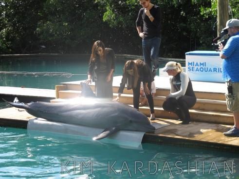 بالصور هكذا تصرف الدلفين عندما رأى كيم كاردشيان - صور كيم كاردشيان مع الدلفين