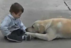 بالفيديو - مؤثر كلب يداعب طفل معاق ويلاعبه - صور كلب يلاعب طفل معاق