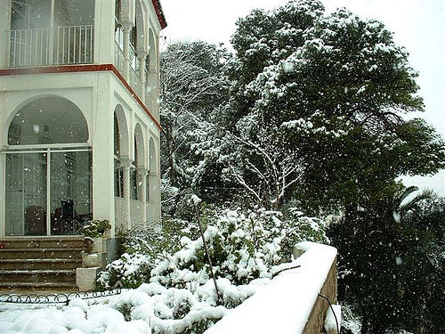 صور ثلوج الجزائر 2013 - صور تراكمات الثلوج في الجزائر اليوم 2013 - صور تساقط الثلج في الجزائر اليوم - صور  ثلوج الجزائر
