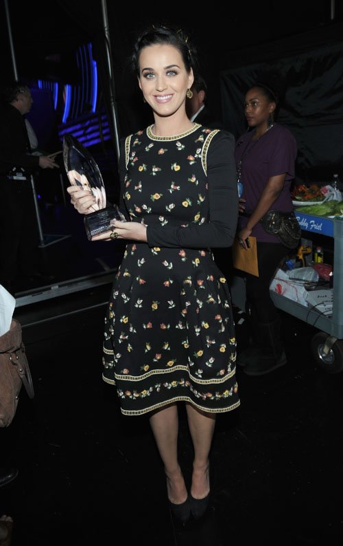 أزياء نجمات هوليود في حفل توزيع جوائز إختيارات الجمهور 2013 , People’s Choice Awards - فساتين نجمات ومشاهير هوليود 2013