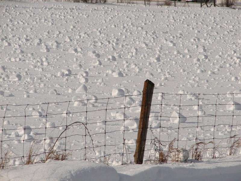 صور لفات الثلجيه - ظاهره جديده اللفات الثلجيه