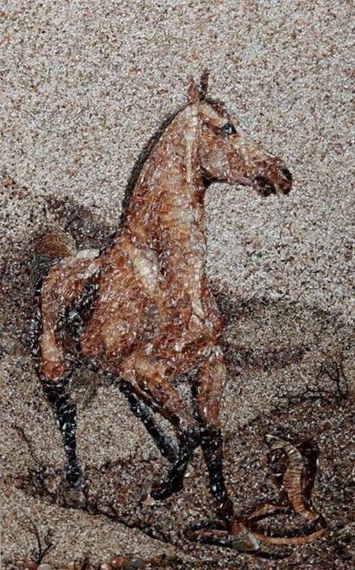 فنانة أوكرانية تستخدم الرمال والأصداف البحرية لعمل لوحات فنية مبهرة