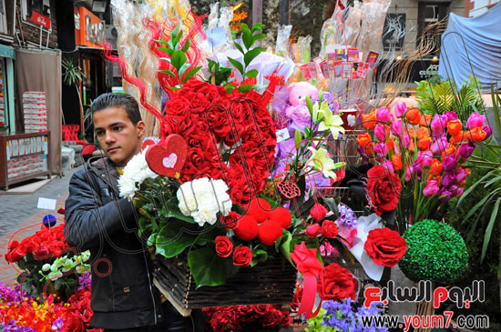 بالصورعيد الحب في مصر - الأحمر يكسو الشارع المصرى فى الفلانتين- صور الورود في شوارع مصر 2013