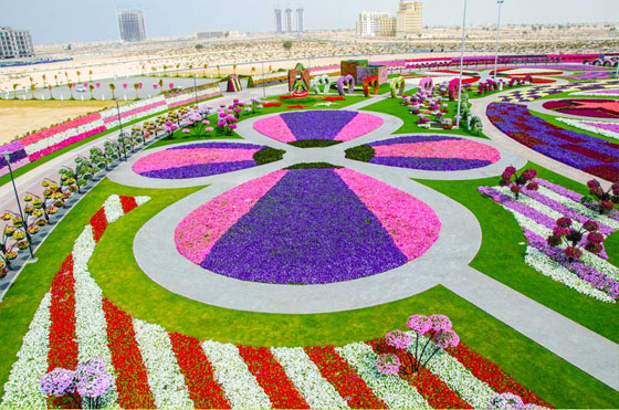 صور حديقة المعجزات بدبي , صور دبي ميراكل جاردن 2014