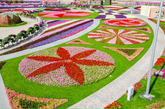 صور حديقة المعجزات بدبي , صور دبي ميراكل جاردن 2014