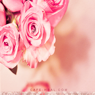 صور رمزيات بلاك بيري بنات باللون الوردي 2013