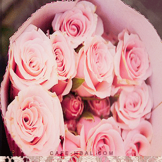 صور رمزيات بلاك بيري بنات باللون الوردي 2013