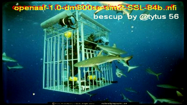 openaaf-1.0-dm800se-sim2-SSL-84b  bescup .by_tytus 56 .nfi