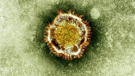 اعراض الاصابة بفايروس الكورونا - اعراض فيروس كورونا - معلومات عن فيروس كورونا