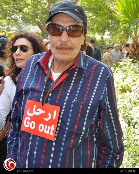 صور كبار الفنانين المصرين في مظاهرات 30 يونيو 2013