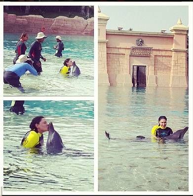 صور أحلام في دبي تلاعب الدلافين وتقبلها