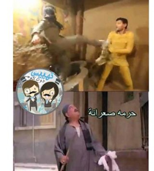 صور مضحكة عن رد فعل هيفاء وهبي في برنامج رامز عنخ آمون