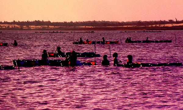 صور بحيرة Lake Retba الوردية في السنغال , صور بحيرة Lake Retba