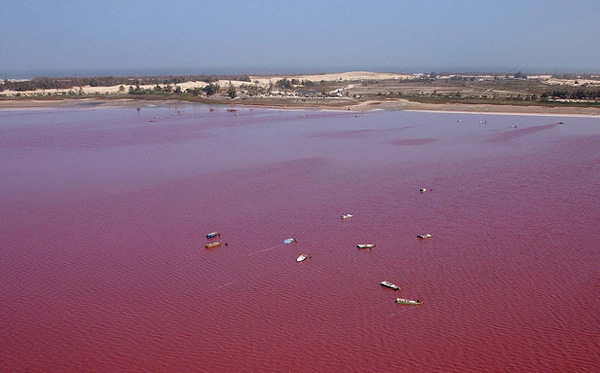 صور بحيرة Lake Retba الوردية في السنغال , صور بحيرة Lake Retba