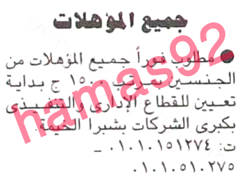 وظائف جريدة المساء الخميس 12-9-2013