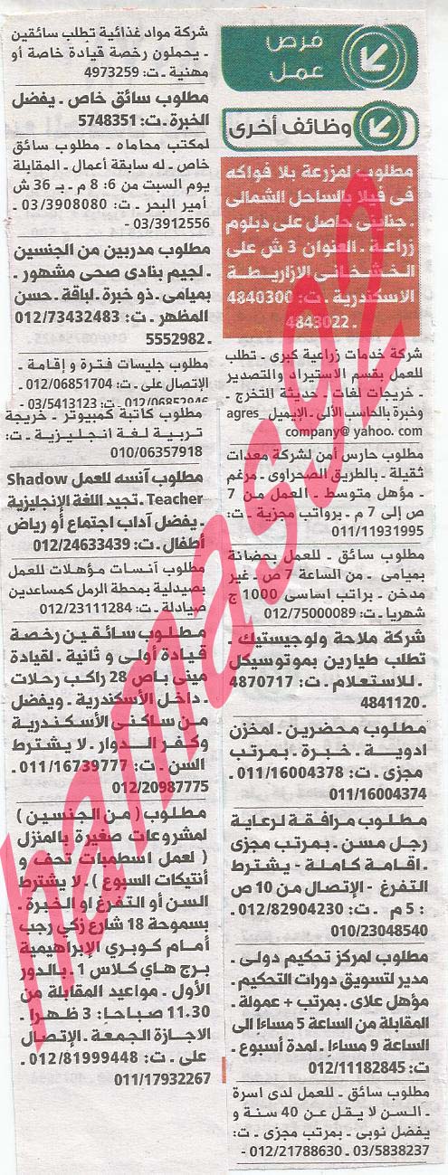 وظائف جريدة الوسيط الاسكندرية السبت 14-09-2013