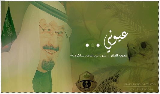 تواقيع ورمزيات اليوم الوطني السعودي 2013 , خلفيات مكتوبة عن اليوم الوطني السعودي 1434