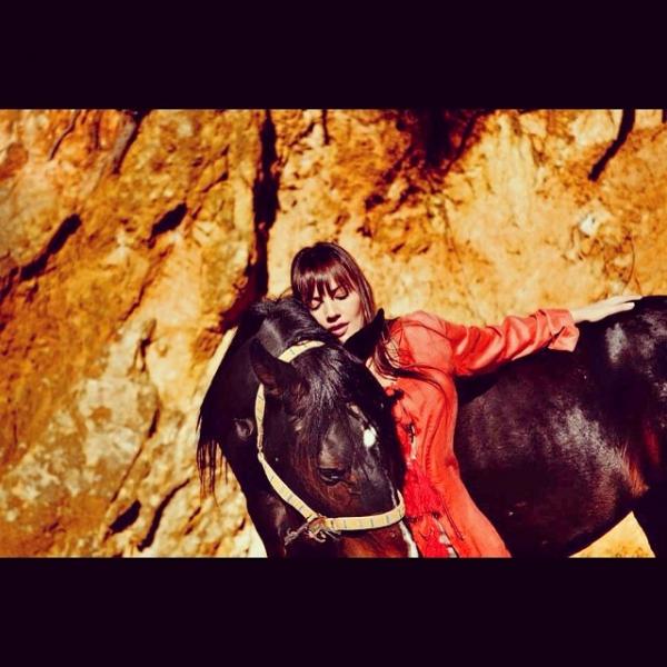 صور الممثلة دارين حمزة من اخر جلسة تصوير مع حصان أسود 2014