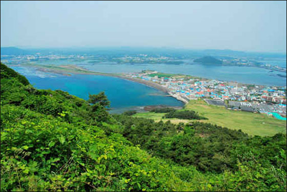 جزيرة جيجو