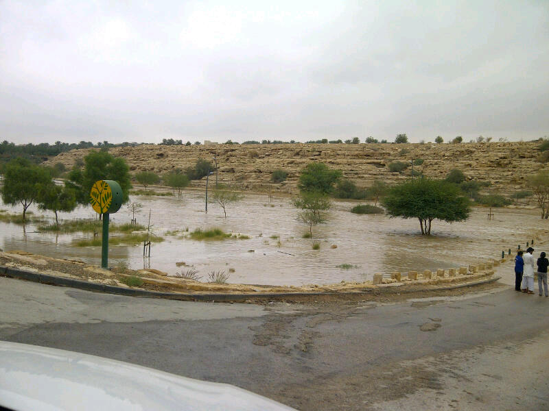 صور امطار وادي حنيفة في الرياض اليوم الاحد 17-11-2013