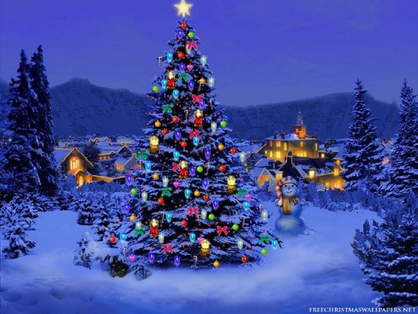صور شجرة الكريسماس من مختلف انحاء العالم 2014 , Christmas Tree Festival 2014