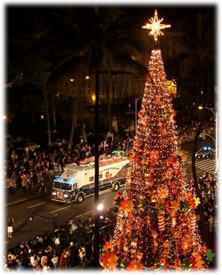 صور شجرة الكريسماس من مختلف انحاء العالم 2014 , Christmas Tree Festival 2014