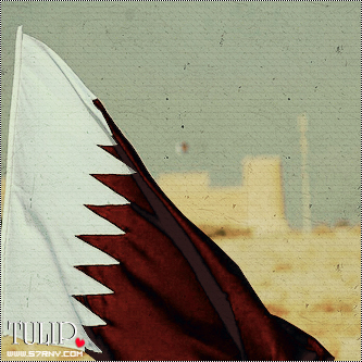 خليفات اليوم الوطني في قطر 2014 , اجمل صور تهاني باليوم الوطني في قطر 2014