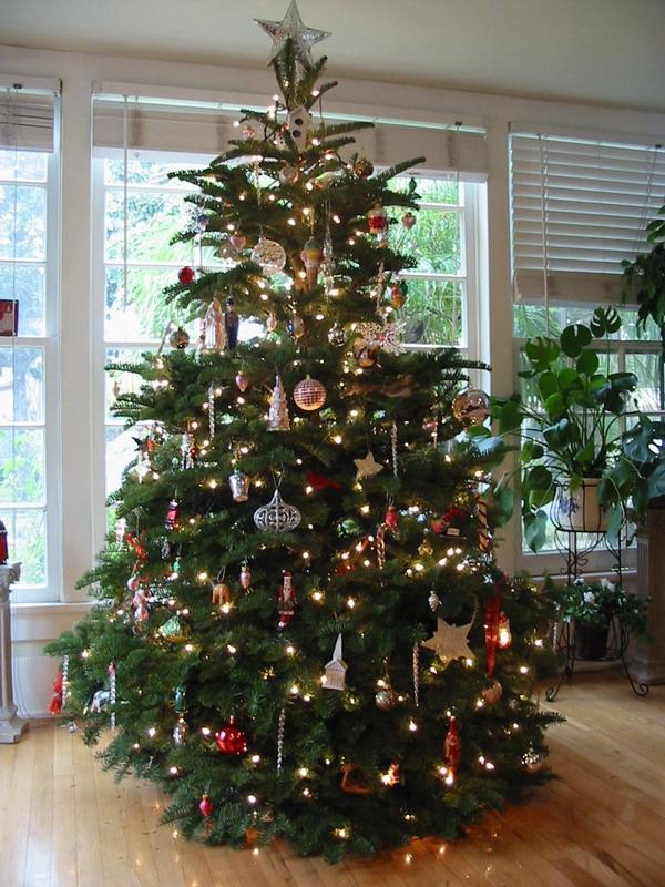 صور شجرة الكريسماس 2020 , صور شجرة عيد الميلاد المجيد 2020