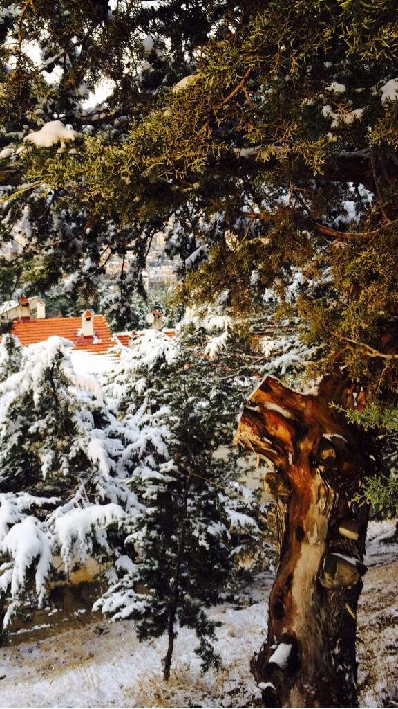 وائل كفوري يستمتع بثلوج لبنان على طريقته الخاصة 2014