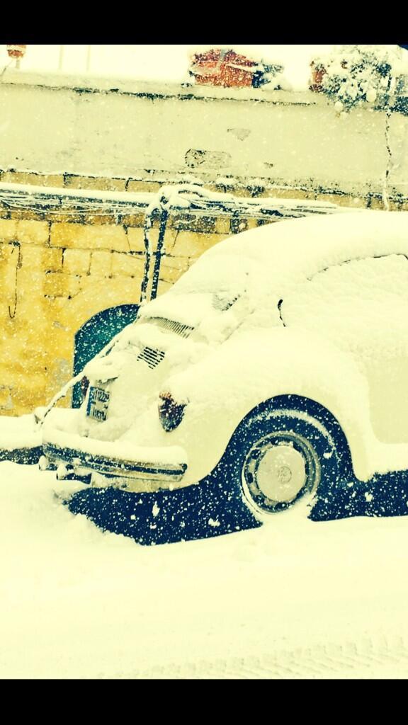 وائل كفوري يستمتع بثلوج لبنان على طريقته الخاصة 2014