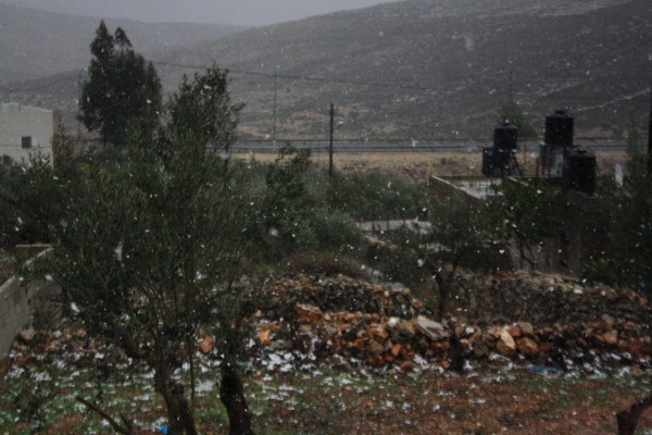 صور نزول الثلج في فلسطين 2014 , صور تساقط الثلوج في فلسطين 2014