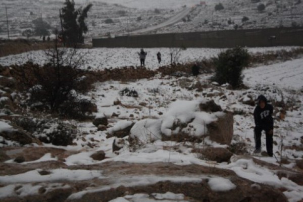صور نزول الثلج في فلسطين 2014 , صور تساقط الثلوج في فلسطين 2014
