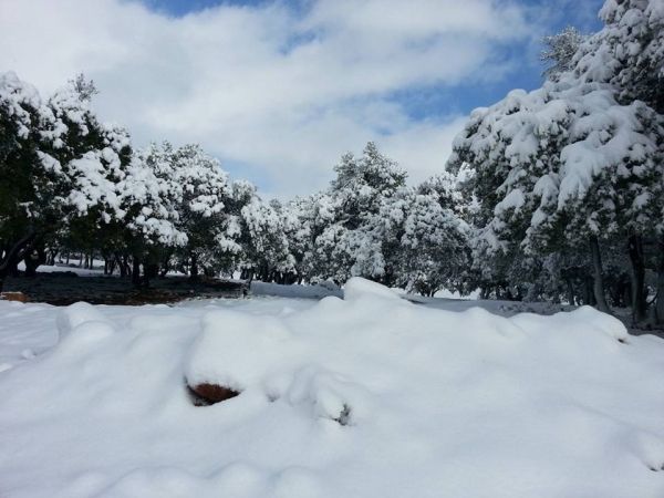 صور تساقط الثلوج في جميع المحافظات الاردنية الخميس 12/12/2013 , صور الثلوج في محافظات الاردن 2014