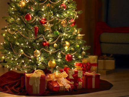 صور شجرة الكريسماس مزينة 2014 , احلى صور اشجار عيد الميلاد الكريسماس 2014