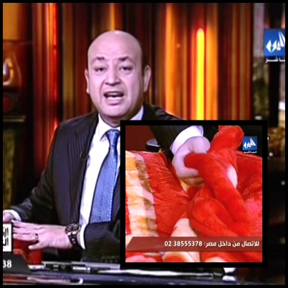 مشاهدة برنامج القاهرة اليوم عمرو اديب حلقة اليوم السبت 14/12/2013