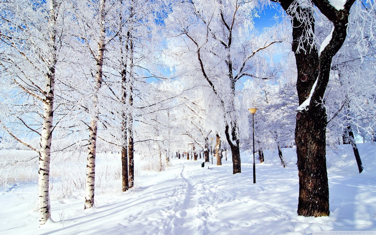 صور خلفيات ثلوج لسطح المكتب 2014 , صور جميلة لمناطق مغطية بالثلج 2014 snow wallpaper hd