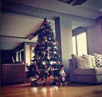 صور هدية الممثلة نور فتح اوغلو - السلطانة ناهد دوران من زوجها بمناسبة عيد الميلاد المجيد 2014