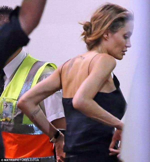 صور الممثلة الامريكية أنجلينا جولي 2014 , احدث صور أنجلينا جولي 2014 Angelina Jolie