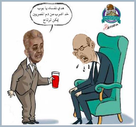 صور كاريكاتيرات مصرية ساخرة 2014 , صور كاريكاتيرات سياسية مضحكة 2014 للمصريين