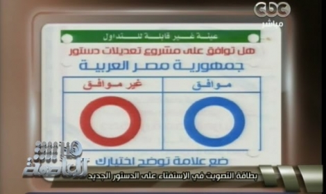صورة استمارة الاستفتاء على الدستور المصري الجديدة 2014
